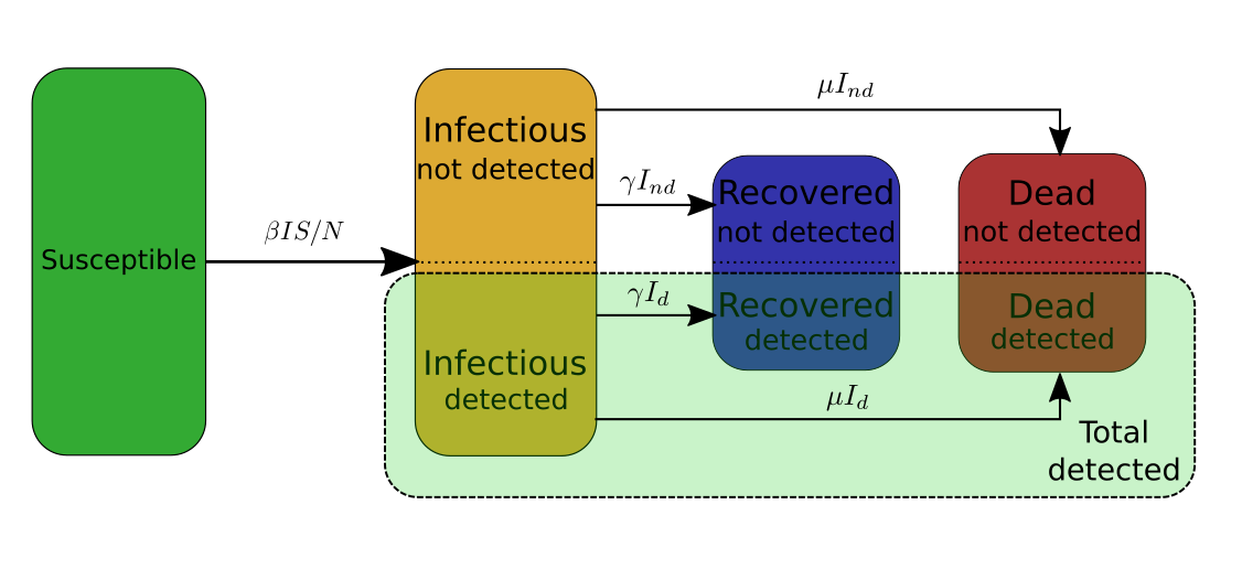 Here we regroup the categories corresponding to the detected Infectious, Recovered and Dead into the category of the Total detected cases.